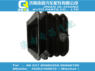 wg1608161019,王牌配件 王牌密封圈,濟(jì)南奇昌汽車配件有限公司