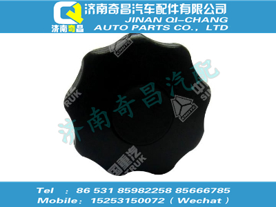 810w97001-0535,SITRAK配件星狀手柄,濟(jì)南奇昌汽車配件有限公司