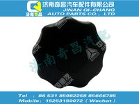 810w97001-0535,SITRAK配件星狀手柄,濟(jì)南奇昌汽車配件有限公司