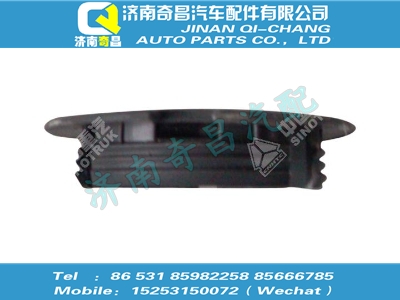 wg1664241017,王牌配件 王牌保險(xiǎn)杠堵蓋,濟(jì)南奇昌汽車(chē)配件有限公司