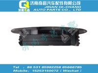 wg1664241017,王牌配件 王牌保險(xiǎn)杠堵蓋,濟(jì)南奇昌汽車(chē)配件有限公司