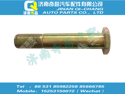 wg9100680057,王牌配件 王牌螺栓,濟南奇昌汽車配件有限公司