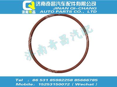 vg1540040010b,汕德卡配件 汕德卡襯套密封圈,濟南奇昌汽車配件有限公司