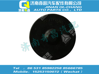 az9725570057,T5G配件 T5G橡膠襯圈,濟南奇昌汽車配件有限公司