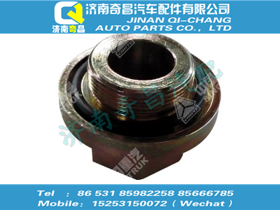 wg9970320211,黃河配件 黃河螺紋接頭總成,濟南奇昌汽車配件有限公司