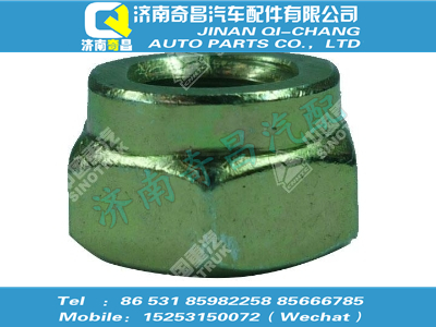 vg1034130035,SITRAK配件六角螺母,濟(jì)南奇昌汽車配件有限公司
