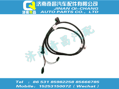 az9725770043,C7B配件 C7B左組合后燈電線(xiàn)束175（BW）,濟(jì)南奇昌汽車(chē)配件有限公司