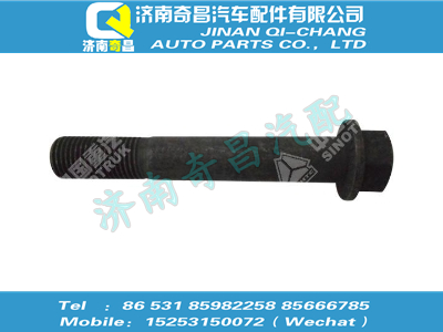 wg9981320014,金王子配件 金王子六角法蘭面承面帶齒螺栓,濟(jì)南奇昌汽車配件有限公司