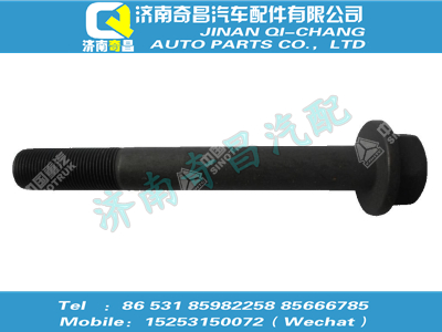 wg9725525128,王牌配件 王牌六角法蘭螺栓（M20x1.5x75，10.9級，瀚瑞森）,濟(jì)南奇昌汽車配件有限公司