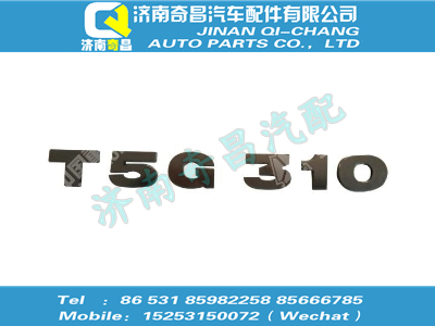 wg1662950019,HOWO配件 HOWO功率標(biāo)牌（T5G 310）,濟南奇昌汽車配件有限公司