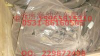AZ9724770061,HW7C牽引車(chē)底盤(pán)電線(xiàn)束（AMT、HW單橋）,濟(jì)南海納汽配有限公司