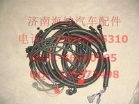 AZ9716772006,EGR發(fā)動(dòng)機(jī)電線(xiàn)束(09款),濟(jì)南海納汽配有限公司