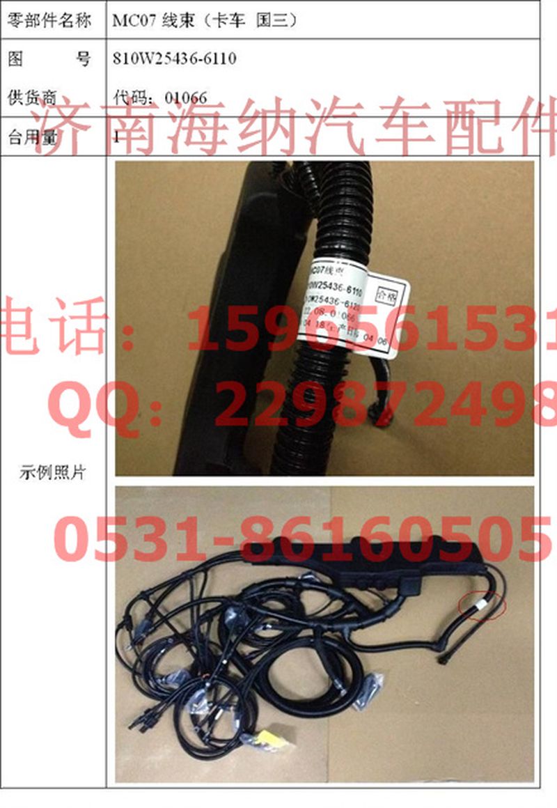 810W25436-6110,MC07線(xiàn)束（卡車(chē)國(guó)三）,濟(jì)南海納汽配有限公司