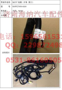 810W25436-6110,MC07線(xiàn)束（卡車(chē)國(guó)三）,濟(jì)南海納汽配有限公司