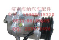 DZ13241824110,F3000壓縮機(jī)（單槽后壓板），產(chǎn)地山東濟(jì)南,濟(jì)南海納汽配有限公司