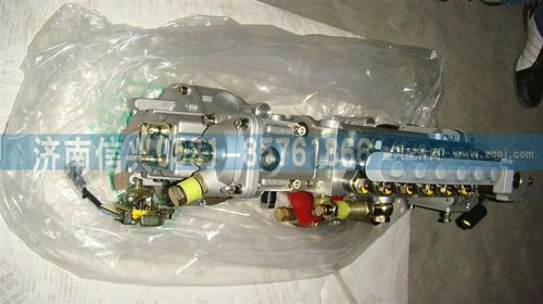 VG1096080130,噴油泵總成（兩氣門EGR96機(jī)）,濟(jì)南信興汽車配件貿(mào)易有限公司