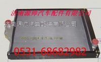 WG9112530267,重汽斯太爾散熱器 重汽斯太爾水箱,濟(jì)南源帥汽車配件有限公司