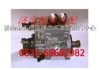 612630030057,濰柴WP12發(fā)動機共軌噴油泵,濟南源帥汽車配件有限公司