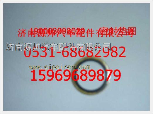 190003098029,重汽豪沃密封墊圈190003098029,濟(jì)南源帥汽車配件有限公司