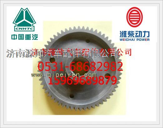 612600080872,濰柴WD615發(fā)動(dòng)機(jī)噴油泵齒輪612600080872,濟(jì)南源帥汽車配件有限公司