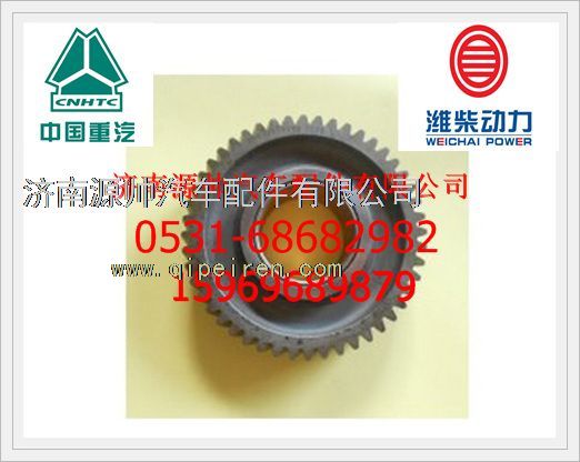 61800050098,濰柴WD618發(fā)動(dòng)機(jī)中間齒輪總成61800050098,濟(jì)南源帥汽車配件有限公司