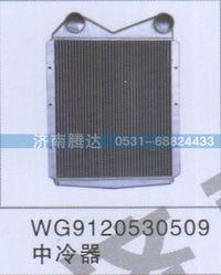 WG9120530509,WG9120530509中冷器,濟(jì)南錦陽汽配有限公司（原騰達(dá)）