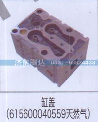 615600040559,缸蓋（615600040559天然氣）,濟南錦陽汽配有限公司（原騰達）