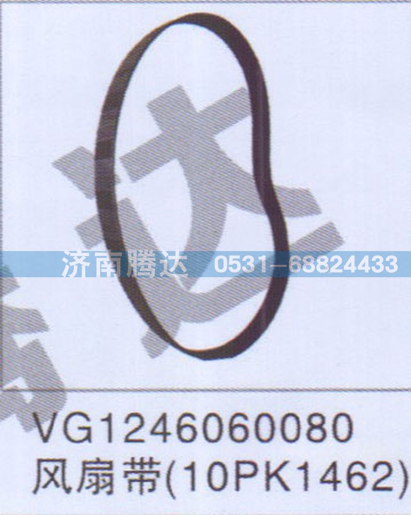 VG1246060080,VG1246060080風(fēng)扇帶10PK1462,濟南錦陽汽配有限公司（原騰達(dá)）