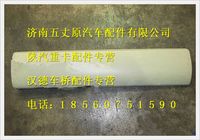 陜汽德龍F3000左下裝飾板