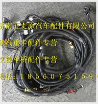陜汽德龍M3000發(fā)動(dòng)機(jī)、變速器底盤電線束