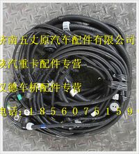 陜汽德龍M3000發(fā)動(dòng)機(jī)、變速器底盤線束