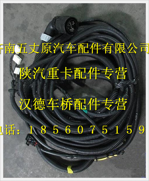 陜汽德龍MAN車架線束/DZ95189774371