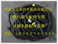 陜汽德龍MAN車架線束