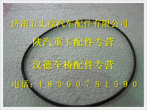 DZ91259520036,,濟南五丈原汽車配件有限公司（原奧隆威）