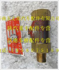 陜汽德龍安全閥