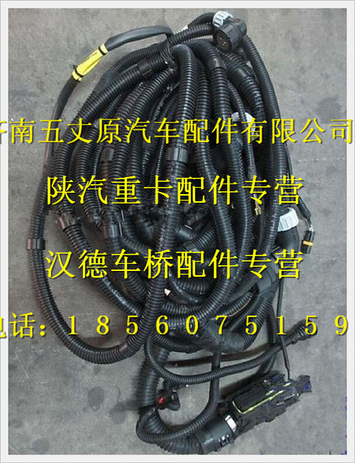 陜汽德龍奧龍發(fā)動機、變速器底盤線束/DZ95319777801