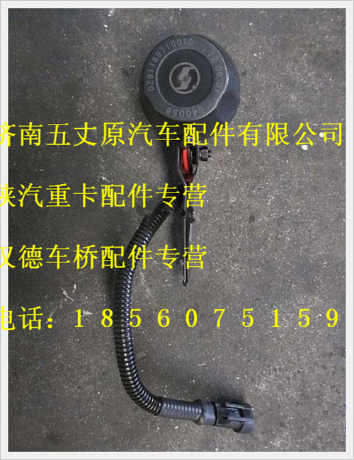 陜汽德龍喇叭總成/DZ91189710010
