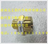 陜汽德龍外螺紋連接接頭