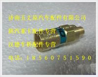陜汽德龍主安全閥（REGO)