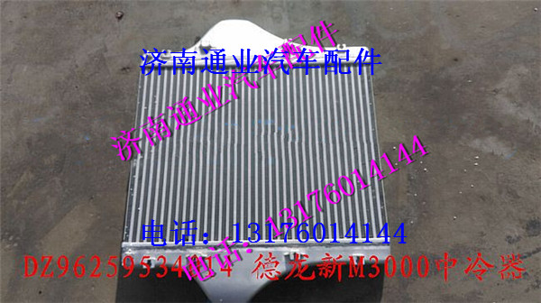 DZ96259531020,,濟南華豪汽車配件有限公司
