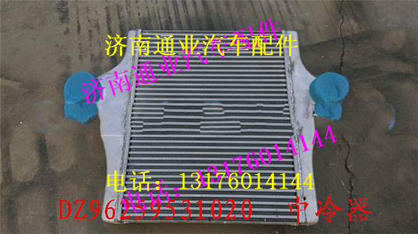 DZ96259531020,,濟(jì)南華豪汽車配件有限公司