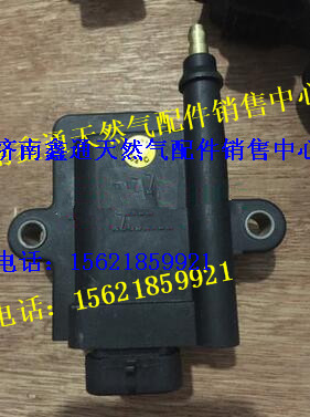 濰柴天然氣智能點火線圈/612600190686/1698-1009