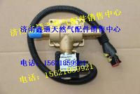 612640130730,濰柴國(guó)四車(chē)尿素加熱電磁閥,濟(jì)南鑫通天然氣銷(xiāo)售中心