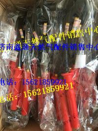 濰柴天然氣發(fā)動(dòng)機(jī)配件智能點(diǎn)火高壓線總成