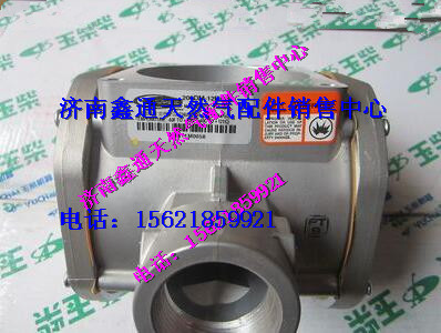 玉柴天燃汽混合器總成/200DM-12DT-1
