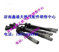 公交客車(chē)湘火炬高壓線(xiàn)