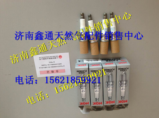 中國重汽天然氣火花塞/VG1560080701