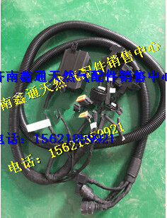 濰柴氣體機(jī)ECU線束/612600190484