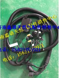 濰柴氣體機(jī)ECU線束