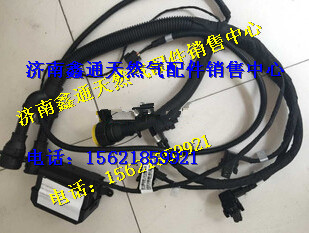 濰柴氣體機ECU線束/612600191127